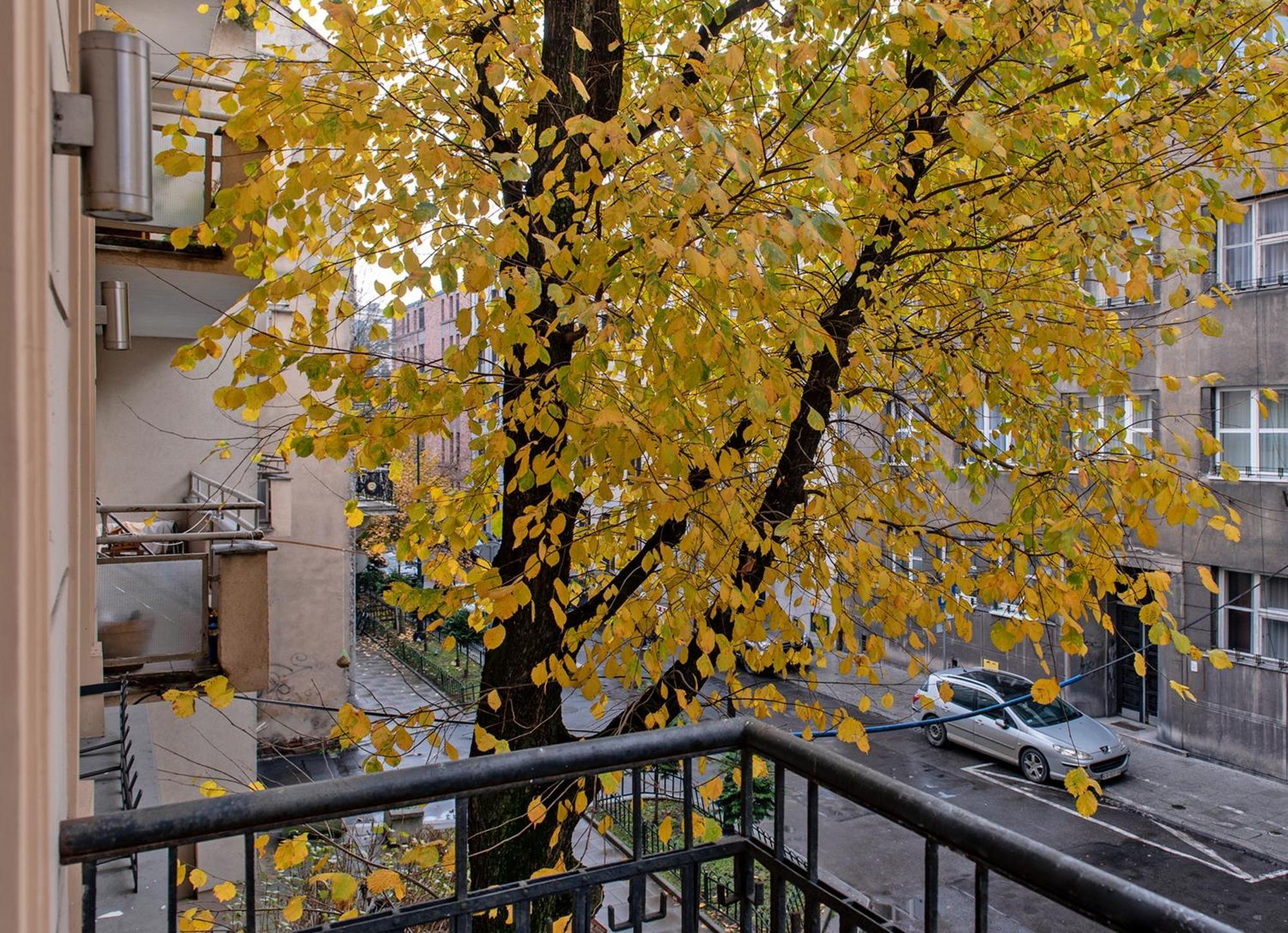 3D Wygoda Apartamenty Krakkó Szoba fotó